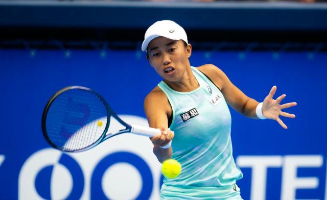 开云体育官网-张帅遭压制无缘决赛  继续“发力”将追平最佳排名